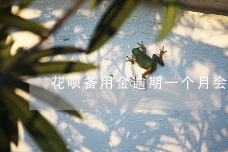 花呗备用金逾期一个月会咋样
