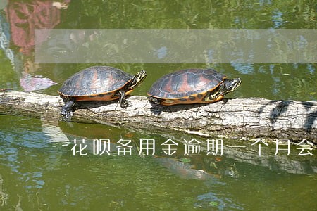 花呗备用金逾期一个月会怎么样 花呗备用金逾期一个月会怎么样