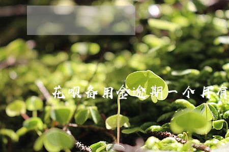 花呗备用金逾期一个月有什么影响 花呗备用金逾期一个月有什么影响