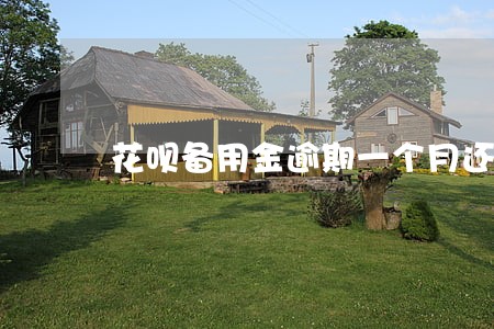 花呗备用金逾期一个月还不上了 花呗备用金逾期一个月还不上了