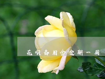 花呗备用金逾期一周 花呗备用金逾期一周