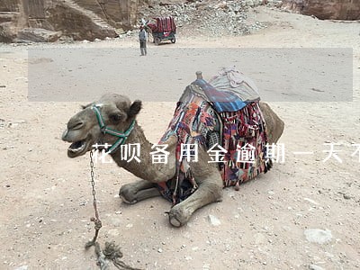 花呗备用金逾期一天不能用