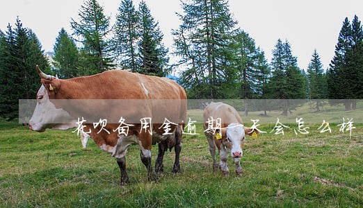 花呗备用金逾期一天会怎么样 花呗备用金逾期一天会怎么样