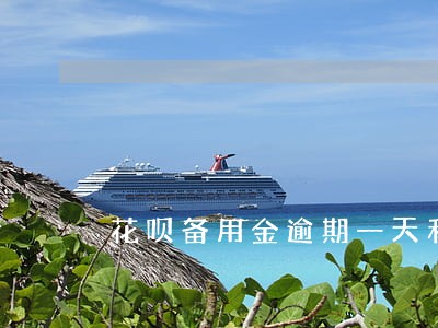 花呗备用金逾期一天利息多少 花呗备用金逾期一天利息多少