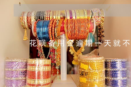 花呗备用金逾期一天就不能再用了 花呗备用金逾期一天就不能再用了