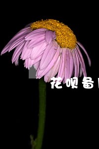 花呗备用金逾期一天扣多少 花呗备用金逾期一天扣多少