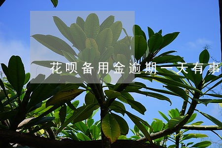 花呗备用金逾期一天有事吗 花呗备用金逾期一天有事吗