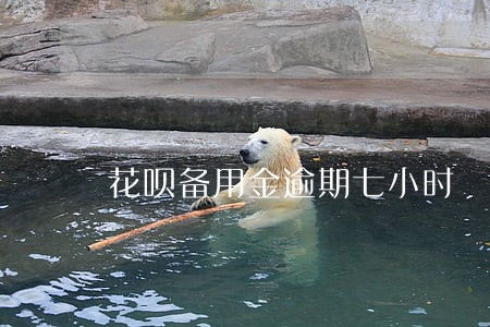 花呗备用金逾期七小时 花呗备用金逾期七小时