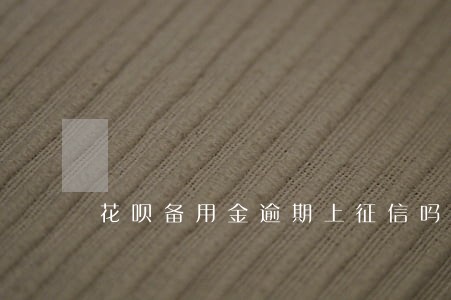 花呗备用金逾期上征信吗