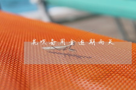 花呗备用金逾期两天