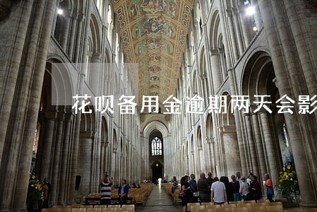 花呗备用金逾期两天会影响征信吗