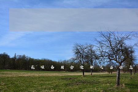 花呗备用金逾期之后会怎么样 花呗备用金逾期之后会怎么样