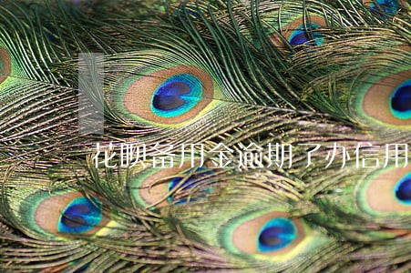 花呗备用金逾期了办信用卡好下么