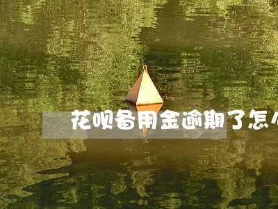 花呗备用金逾期了怎么办 花呗备用金逾期了怎么办