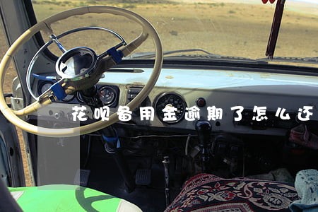 花呗备用金逾期了怎么还 花呗备用金逾期了怎么还