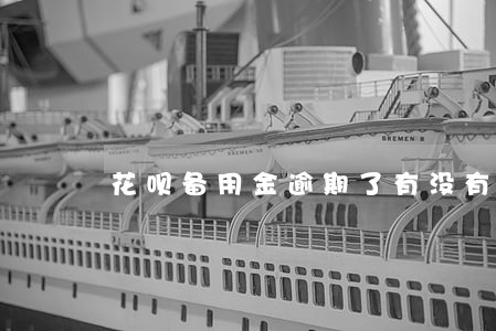 花呗备用金逾期了有没有影响