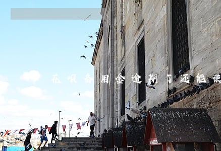 花呗备用金逾期了还能使用吗 花呗备用金逾期了还能使用吗