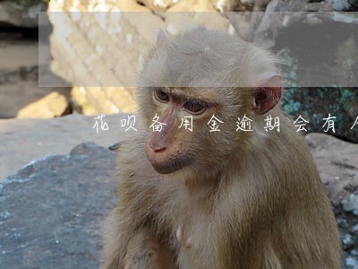 花呗备用金逾期会有人上门吗 花呗备用金逾期会有人上门吗