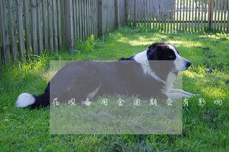 花呗备用金逾期会有影响吗 花呗备用金逾期会有影响吗