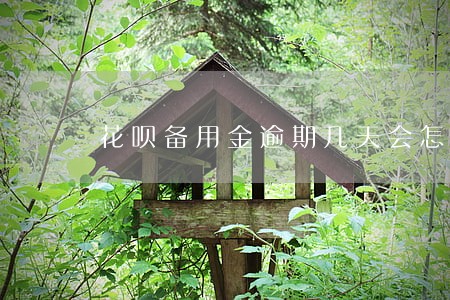 花呗备用金逾期几天会怎样 花呗备用金逾期几天会怎样
