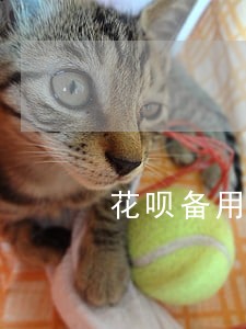 花呗备用金逾期几天会打电话吗 花呗备用金逾期几天会打电话吗