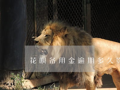 花呗备用金逾期多久影响