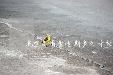 花呗备用金逾期多久才能恢复