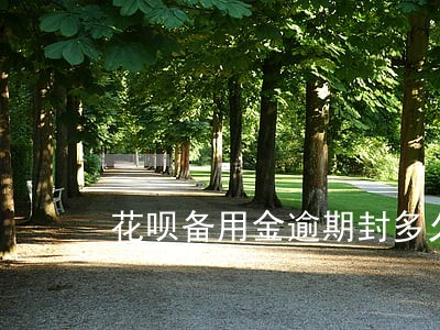 花呗备用金逾期封多久 花呗备用金逾期封多久