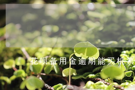 花呗备用金逾期能买机票嘛 花呗备用金逾期能买机票嘛
