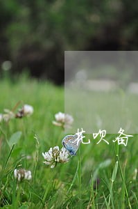 花呗备用金逾期过芝麻分都掉光 花呗备用金逾期过芝麻分都掉光