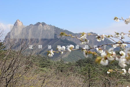 花呗备用金逾期还了不让用了