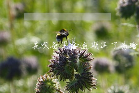 花呗备用金逾期还了为啥不能用 花呗备用金逾期还了为啥不能用