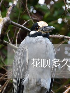 花呗多久逾期会给通讯录打电话吗 花呗多久逾期会给通讯录打电话吗