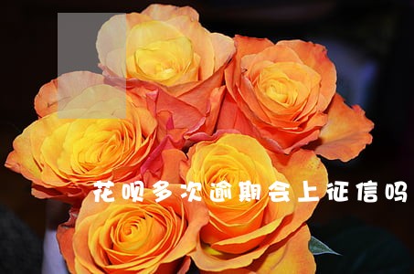 花呗多次逾期会上征信吗 花呗多次逾期会上征信吗