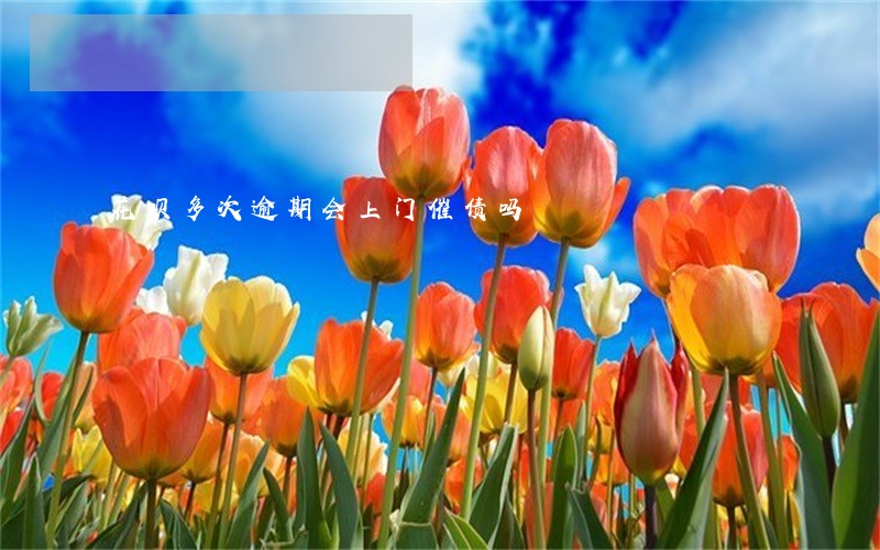花呗多次逾期会上门催债吗 花呗多次逾期会上门催债吗