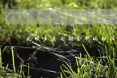 花呗多次逾期会影响按揭吗 花呗多次逾期会影响按揭吗