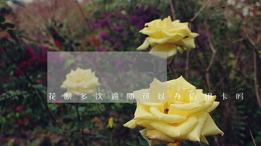 花呗多次逾期可以办信用卡吗 花呗多次逾期可以办信用卡吗