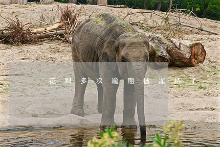 花呗多次逾期被冻结了 花呗多次逾期被冻结了