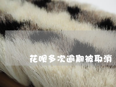 花呗多次逾期被取消 花呗多次逾期被取消