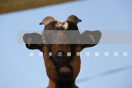 花呗多次逾期还能借款吗 花呗多次逾期还能借款吗
