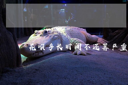 花呗多长时间不还算严重逾期