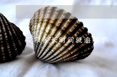 花呗多长时间就逾期了