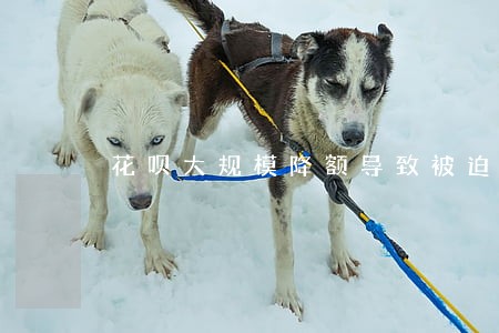 花呗大规模降额导致被迫逾期 花呗大规模降额导致被迫逾期
