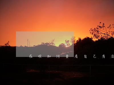 花呗如何查看自己有没有逾期 花呗如何查看自己有没有逾期