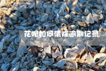 花呗如何清除逾期记录 花呗如何清除逾期记录