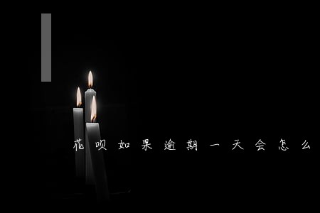 花呗如果逾期一天会怎么样