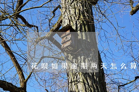 花呗如果逾期两天怎么算 花呗如果逾期两天怎么算