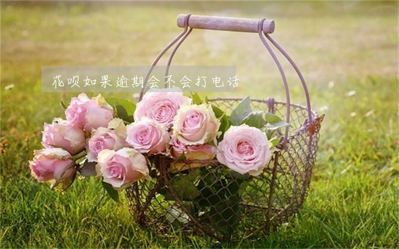 花呗如果逾期会不会打电话 花呗如果逾期会不会打电话