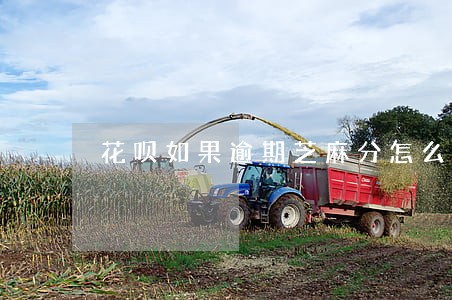 花呗如果逾期芝麻分怎么个掉法 花呗如果逾期芝麻分怎么个掉法