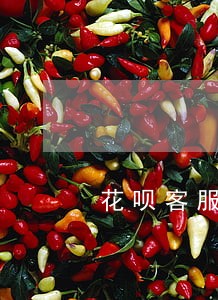 花呗客服能查哪个产品逾期 花呗客服能查哪个产品逾期